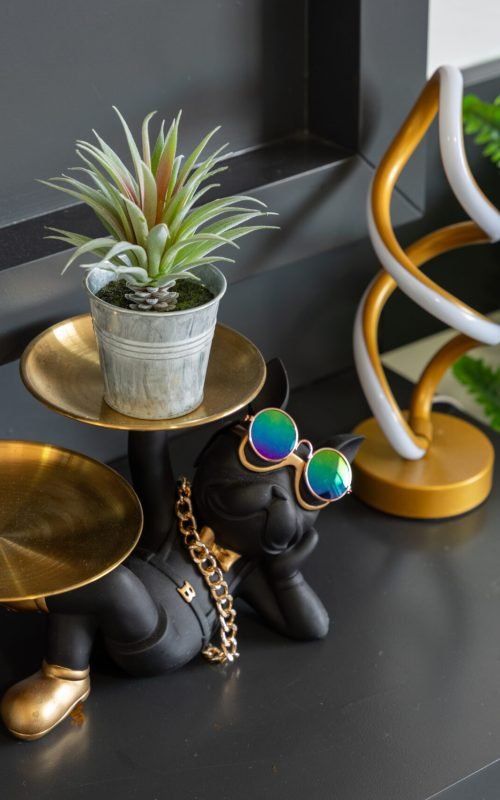 MP_Andy Muchhala - 051