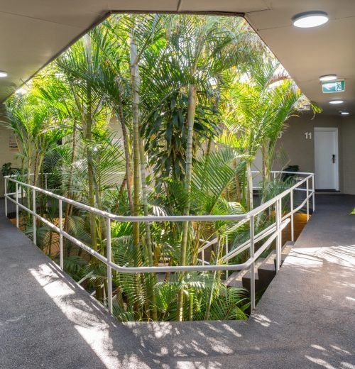 MP_Andy Muchhala - 138